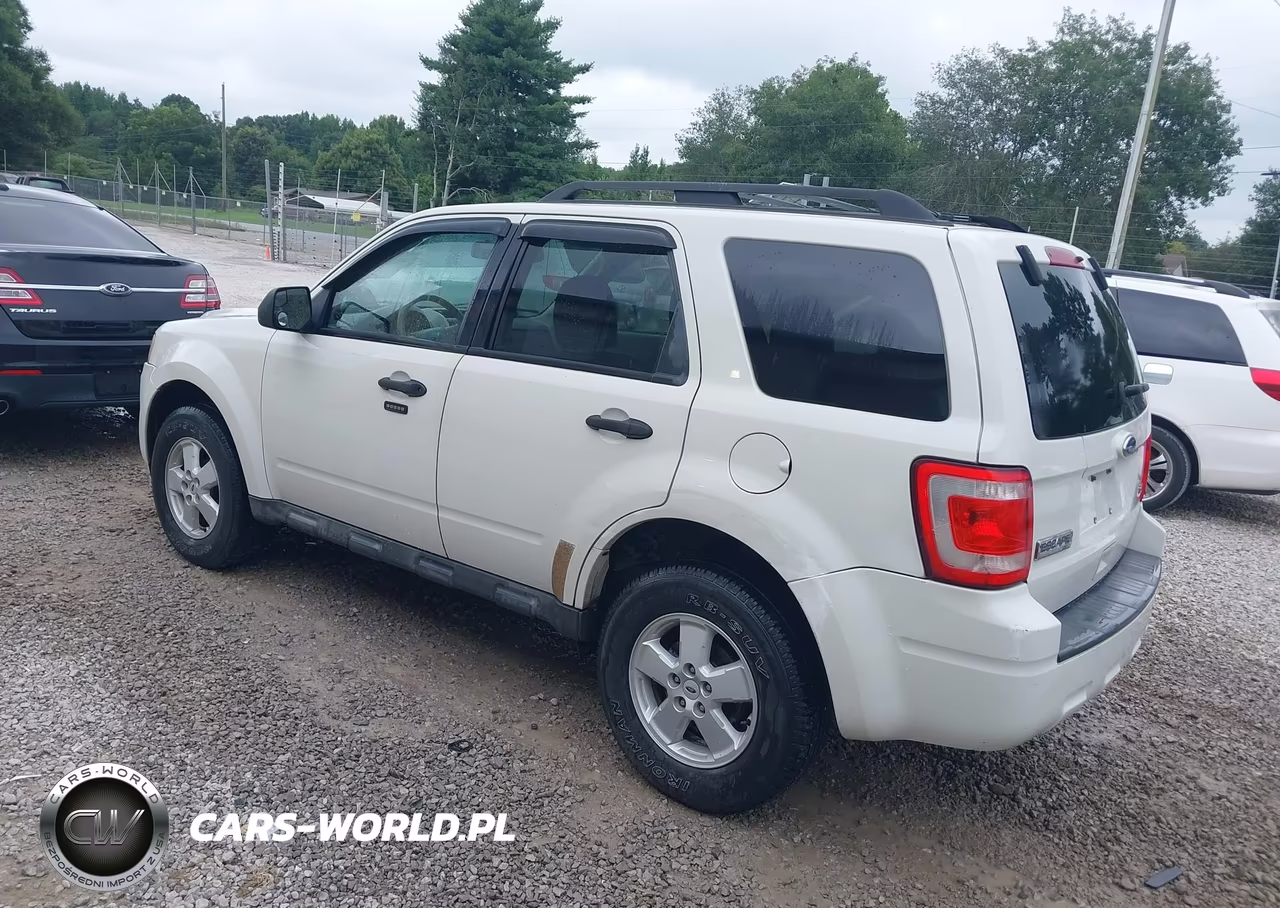 2010 Ford Escape Xlt VIN:1FMCU0DG9AKA01352 - 3