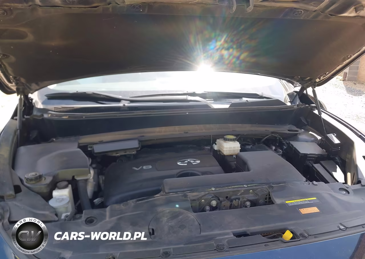 2020 Infiniti Qx60 Pure VIN:5N1DL0MN9LC537818 - 10