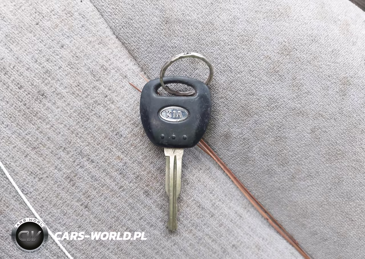 2006 Kia Sedona Ex-Lx VIN:KNDMB233766024444 - 11