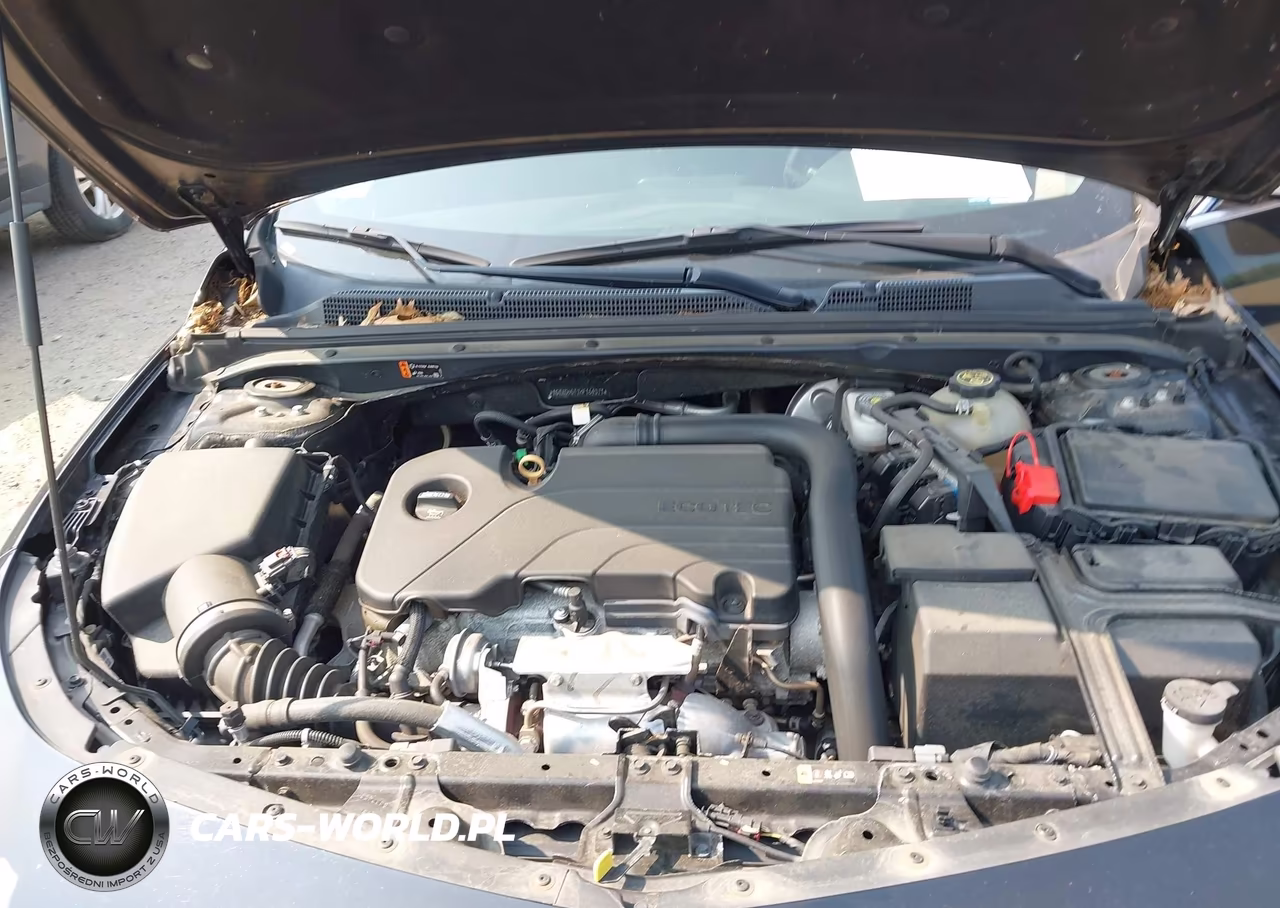 2019 Chevrolet Malibu Lt VIN:1G1ZD5ST7KF164371 - 10