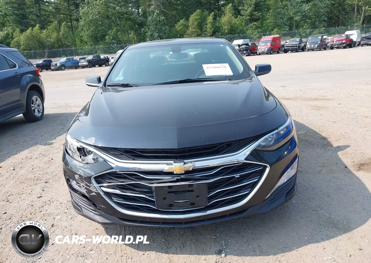 2019 Chevrolet Malibu Lt VIN:1G1ZD5ST7KF164371 - 12