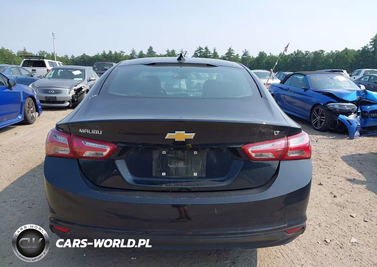 2019 Chevrolet Malibu Lt VIN:1G1ZD5ST7KF164371 - 16