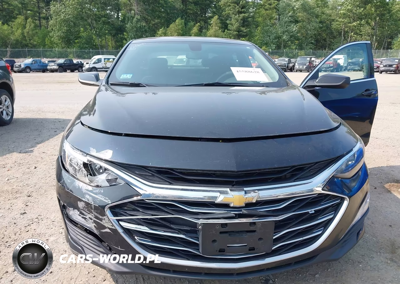 2019 Chevrolet Malibu Lt VIN:1G1ZD5ST7KF164371 - 17