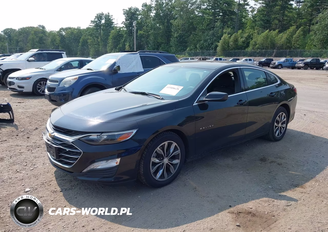 2019 Chevrolet Malibu Lt VIN:1G1ZD5ST7KF164371 - 2