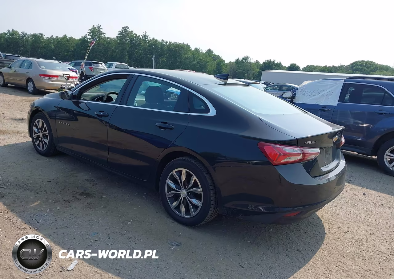 2019 Chevrolet Malibu Lt VIN:1G1ZD5ST7KF164371 - 3