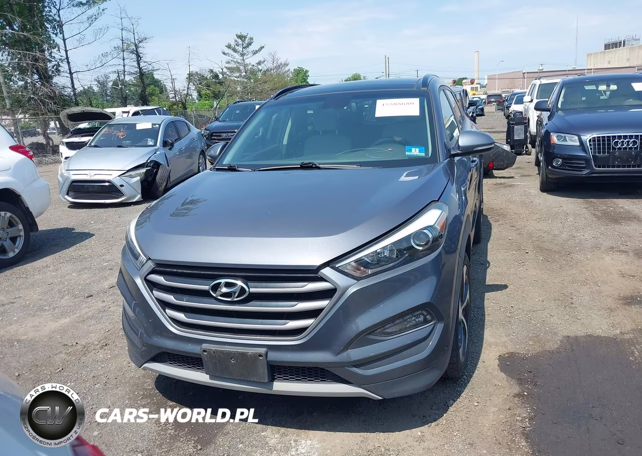 2018 Hyundai Tucson Value VIN:KM8J3CA21JU625848 - 12