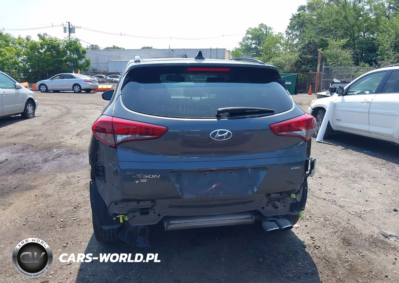 2018 Hyundai Tucson Value VIN:KM8J3CA21JU625848 - 16