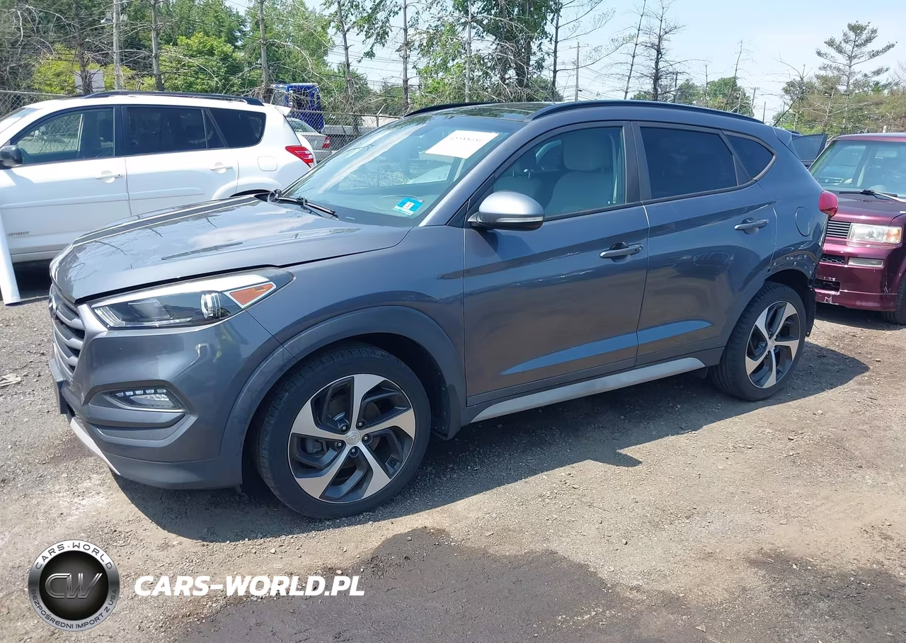 2018 Hyundai Tucson Value VIN:KM8J3CA21JU625848 - 2