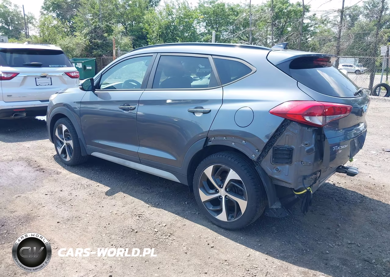 2018 Hyundai Tucson Value VIN:KM8J3CA21JU625848 - 3