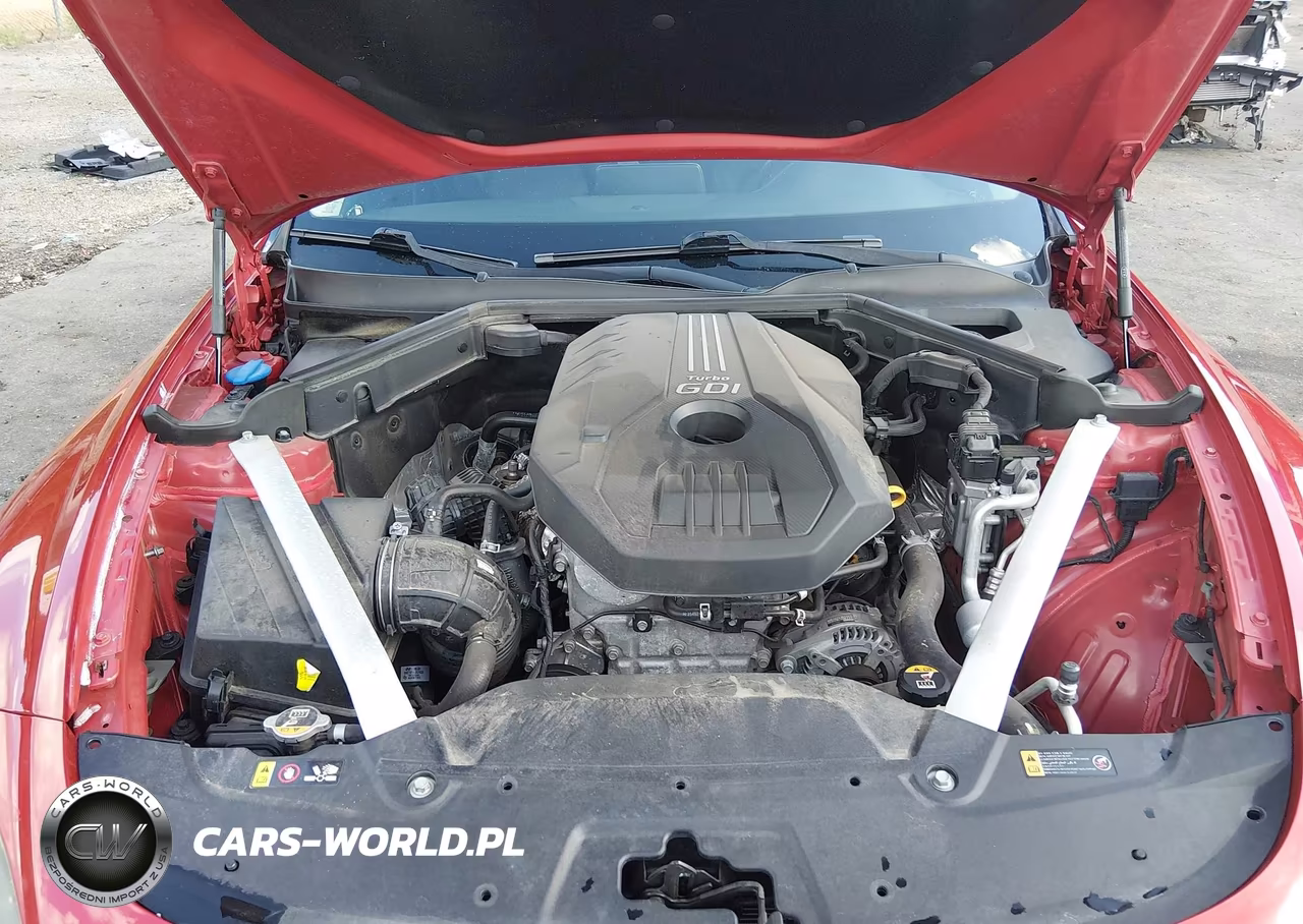 2019 Kia Stinger Premium VIN:KNAE25LA3K6050888 - 10