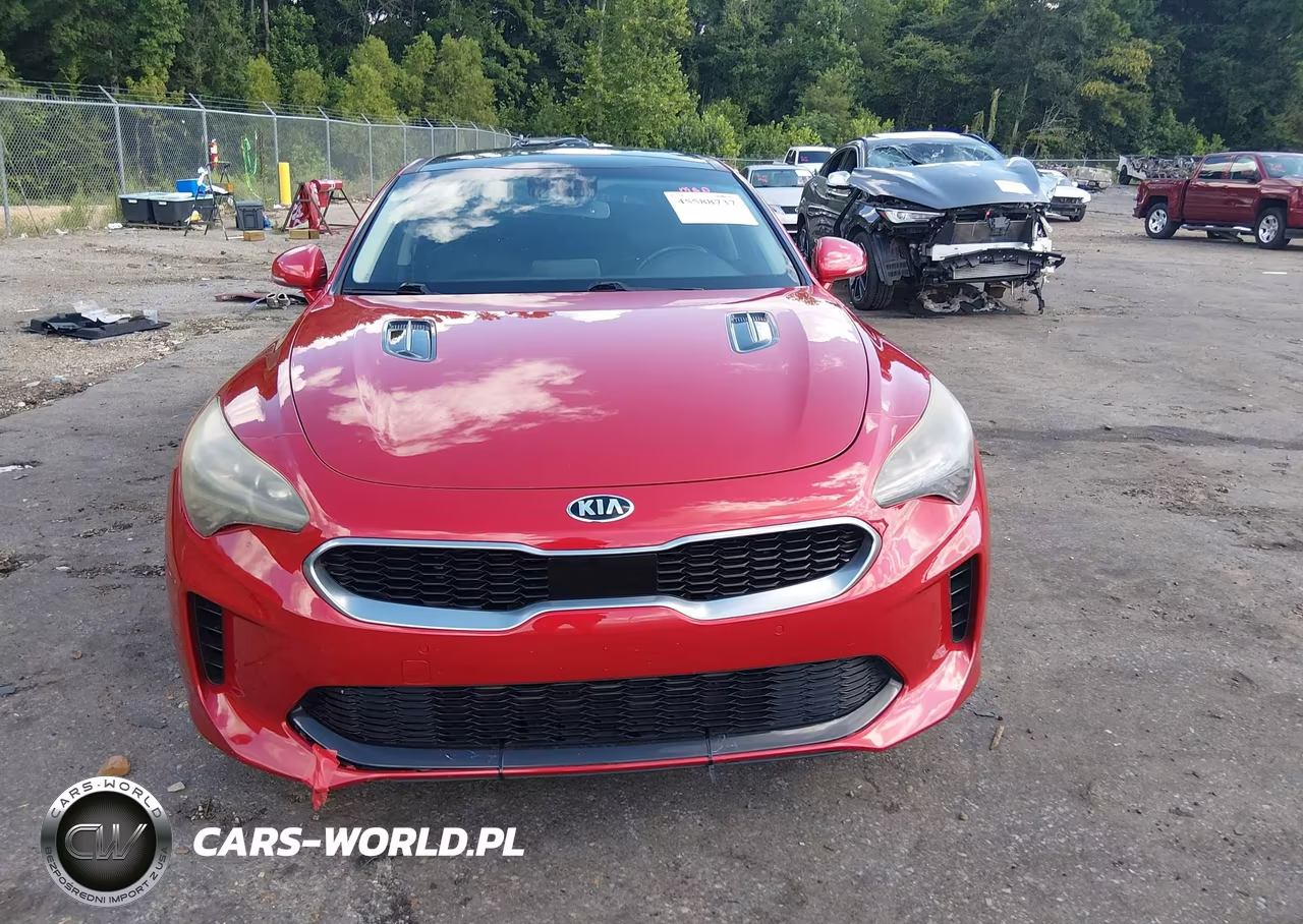 2019 Kia Stinger Premium VIN:KNAE25LA3K6050888 - 13