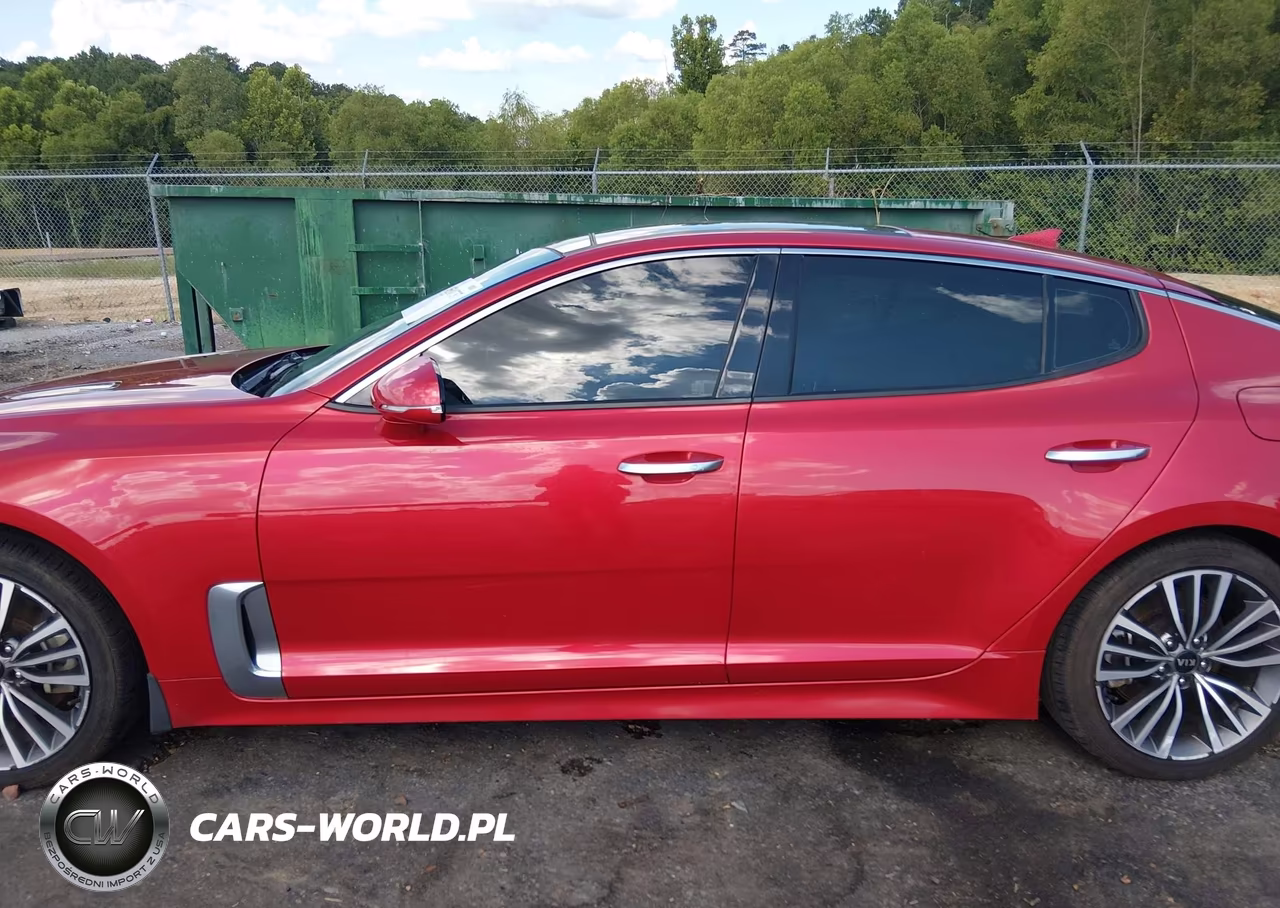 2019 Kia Stinger Premium VIN:KNAE25LA3K6050888 - 15