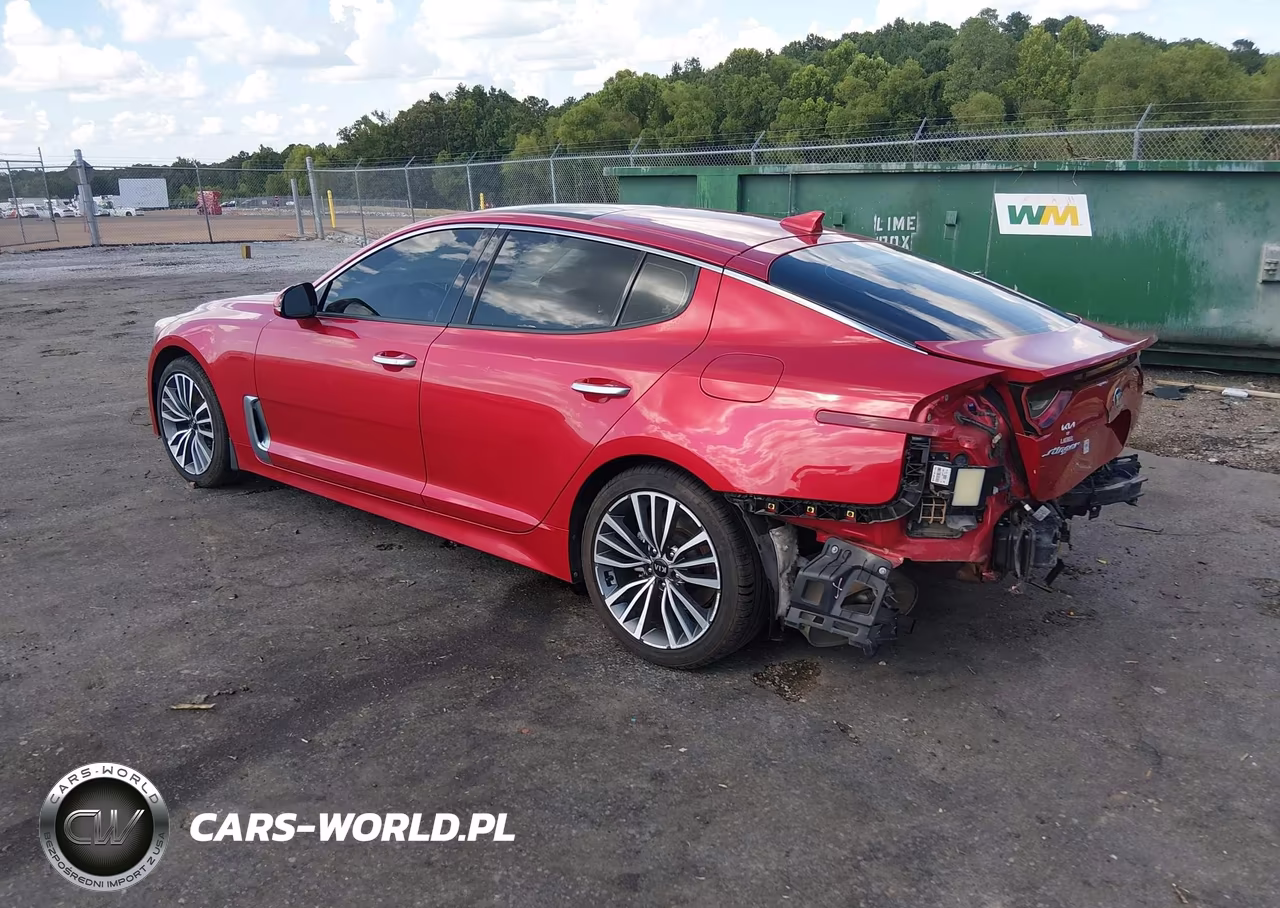 2019 Kia Stinger Premium VIN:KNAE25LA3K6050888 - 3