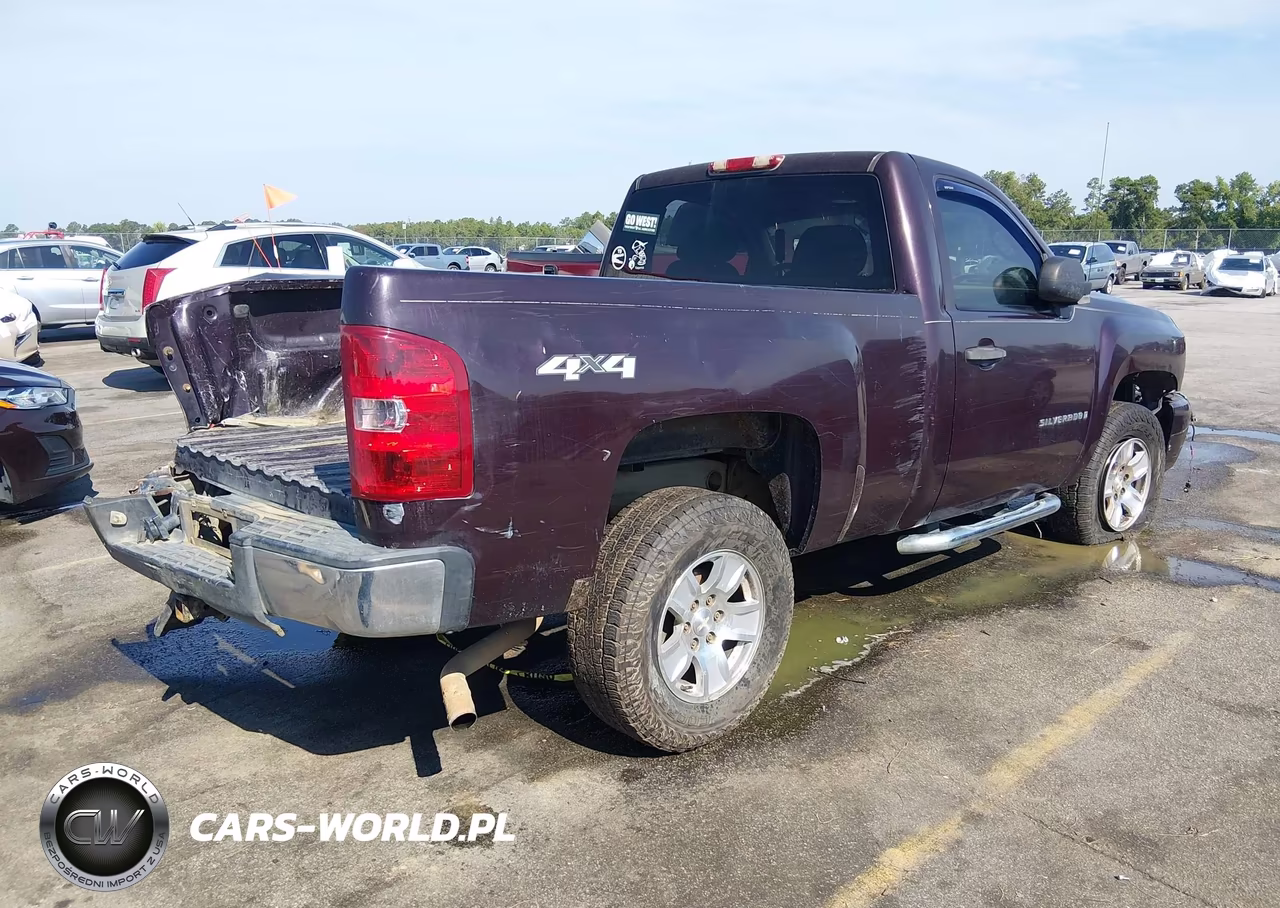 2008 Chevrolet Silverado 1500 Work Truck VIN:1GCEK14C48Z188085 - 4
