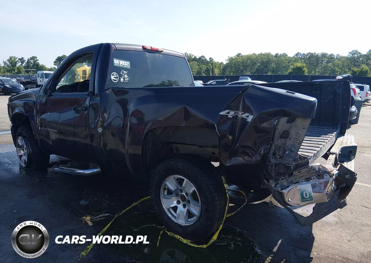 2008 Chevrolet Silverado 1500 Work Truck VIN:1GCEK14C48Z188085 - 6