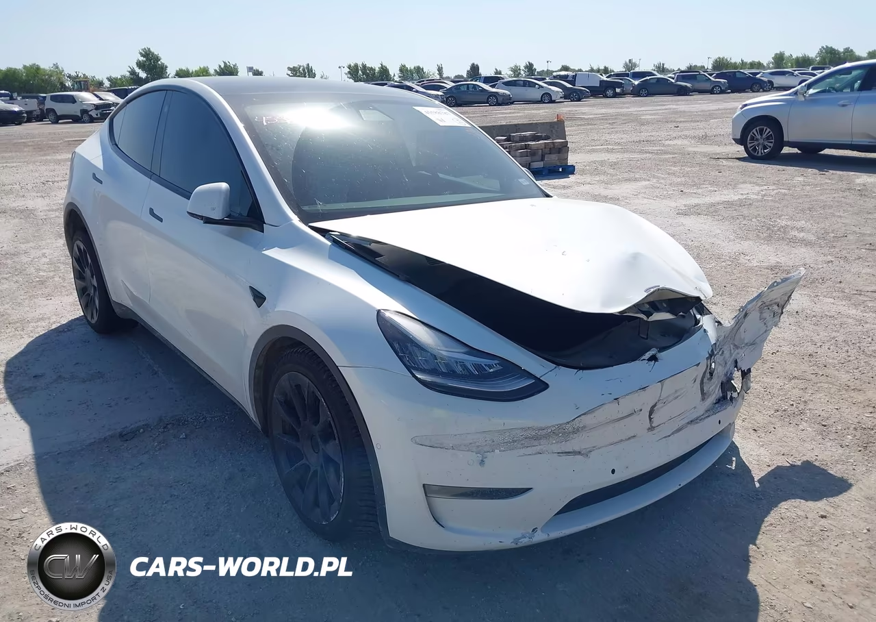 2021 Tesla Model Y Long Range Dual Motor All-Wheel Drive VIN:5YJYGDEE2MF257386 - 1
