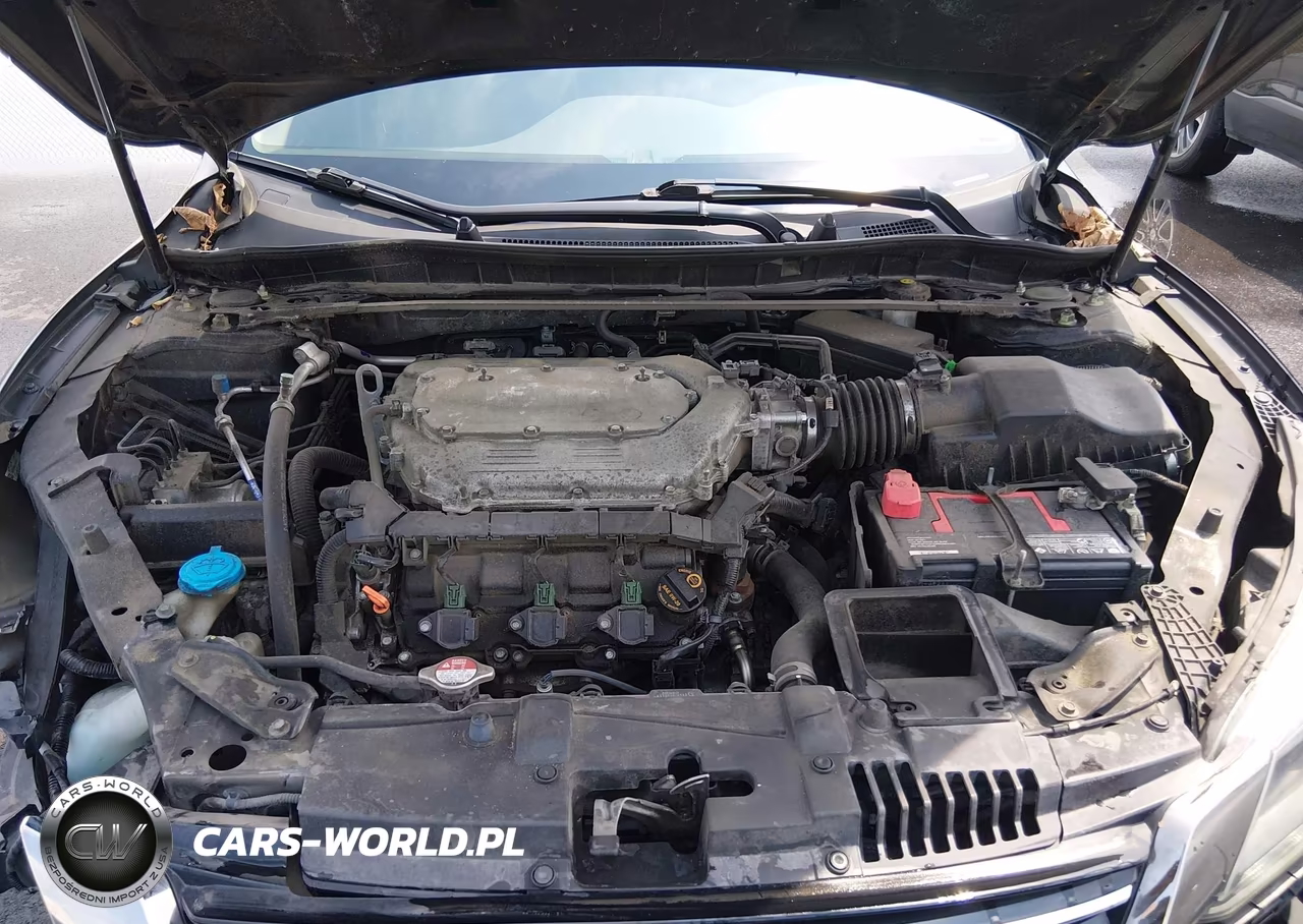 2013 Honda Accord Ex-L V-6 VIN:1HGCR3F86DA014407 - 10