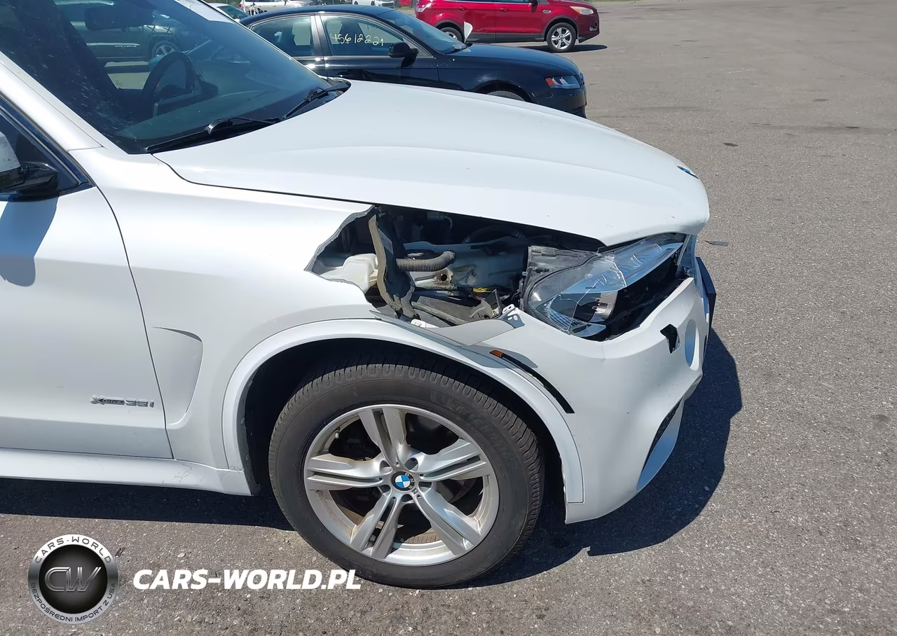 2015 BMW X5 xDrive35I VIN:5UXKR0C54F0K57093 - 18