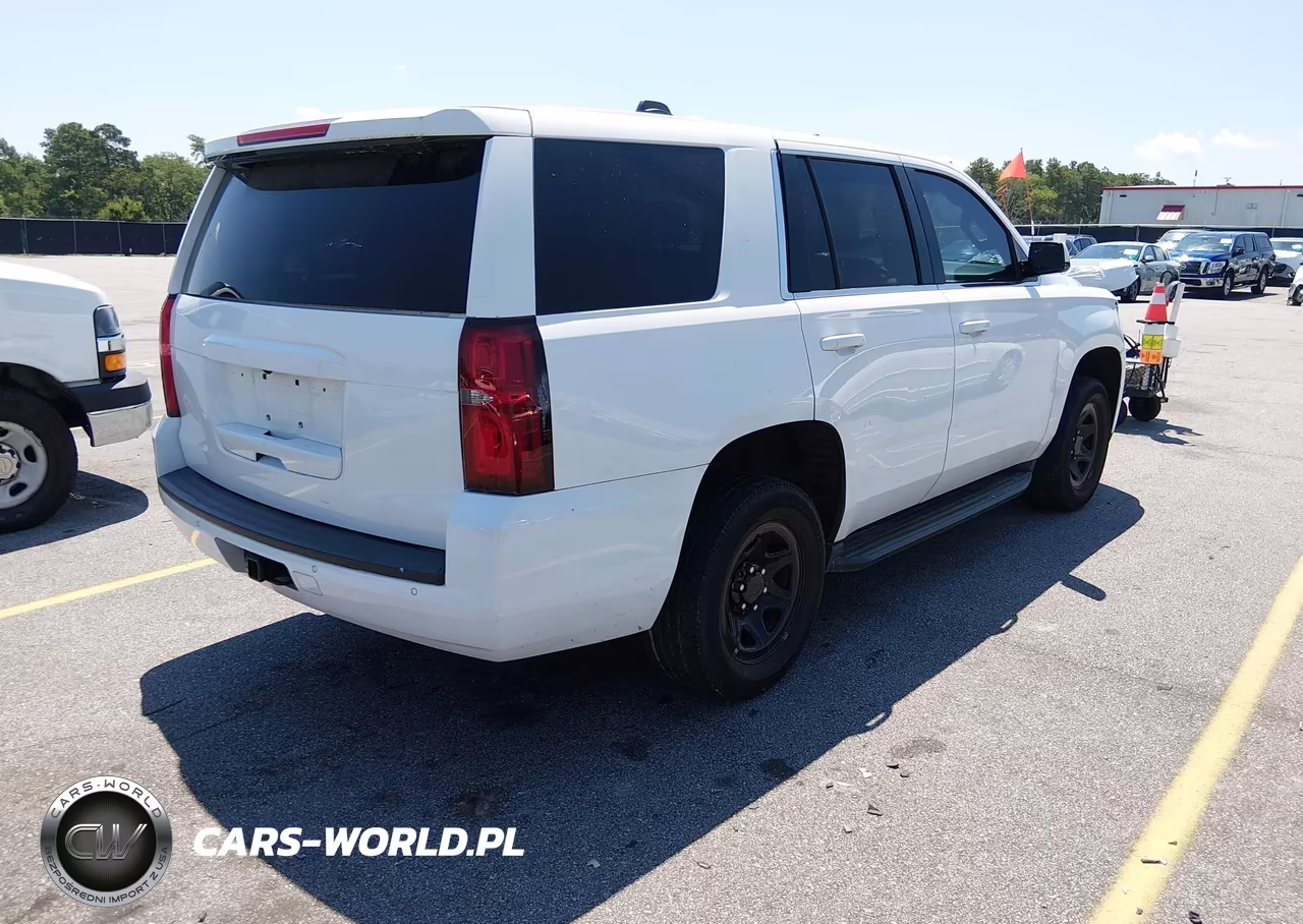 2020 Chevrolet Tahoe 2Wd Commercial Fleet VIN:1GNLCDEC4LR272430 - 4