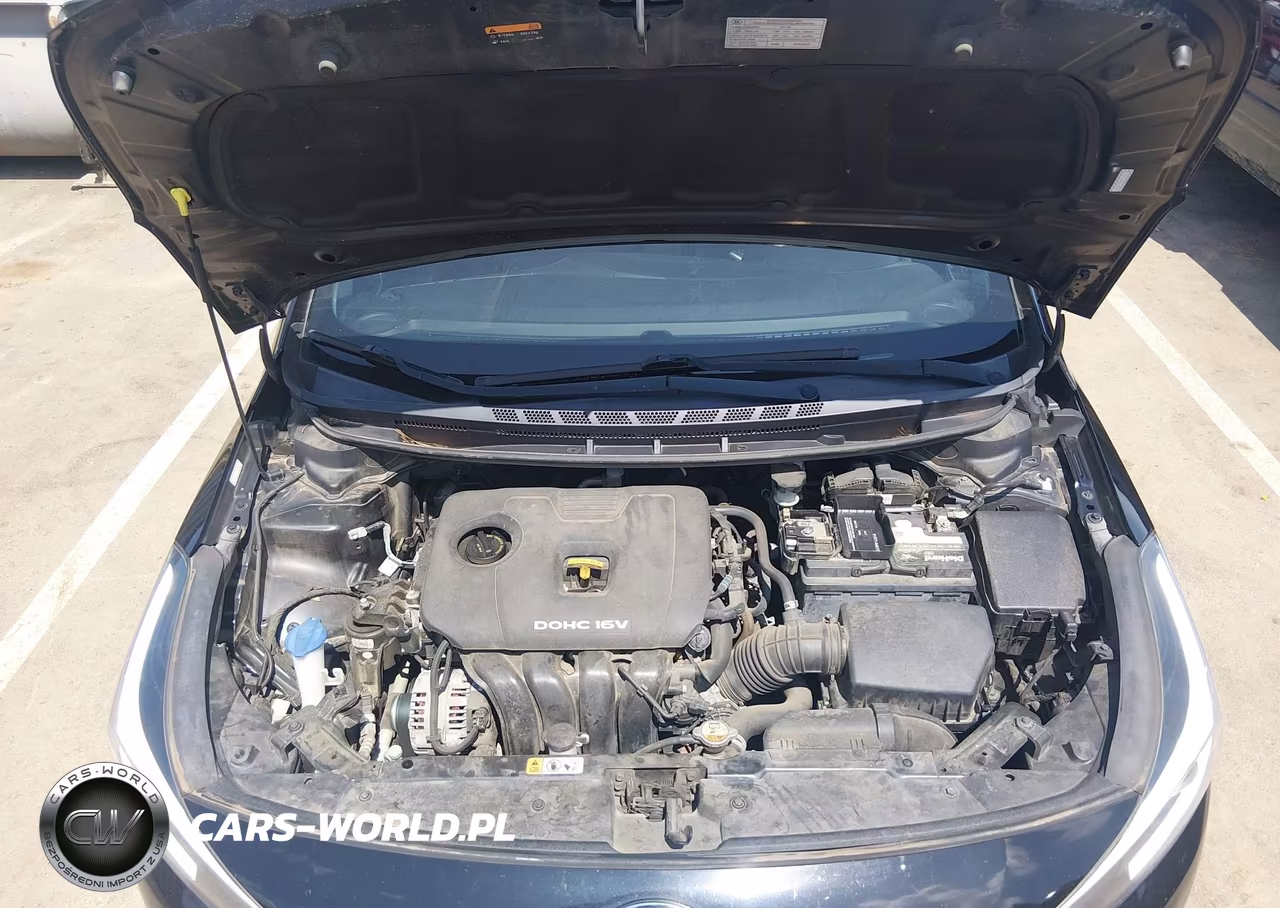 2017 Kia Forte Lx VIN:3KPFL4A77HE014498 - 10