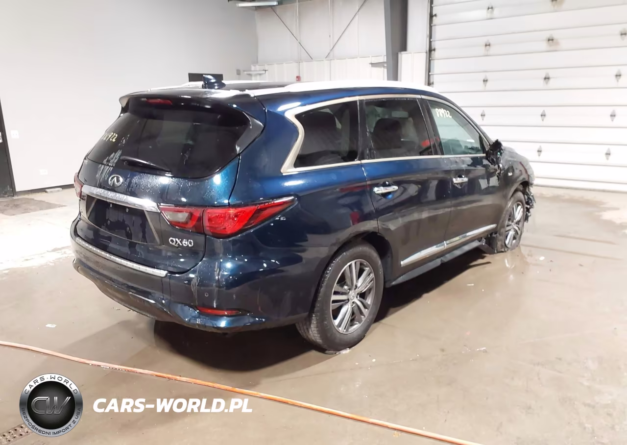 2020 Infiniti Qx60 Luxe Awd VIN:5N1DL0MM5LC506461 - 4