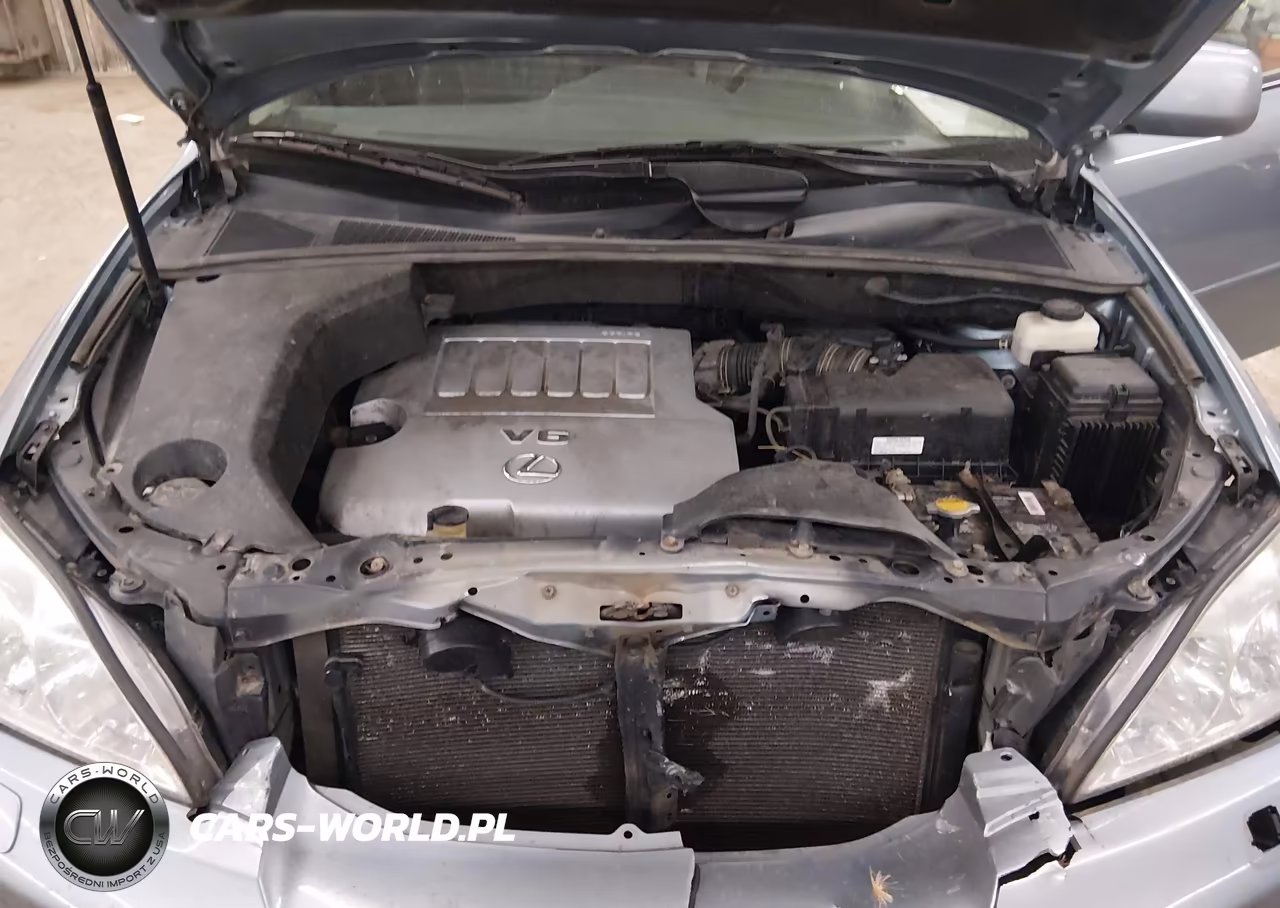 2007 Lexus Rx 350 VIN:2T2HK31U97C024020 - 10