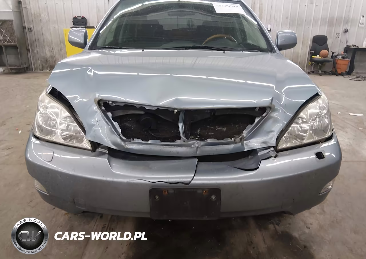 2007 Lexus Rx 350 VIN:2T2HK31U97C024020 - 6