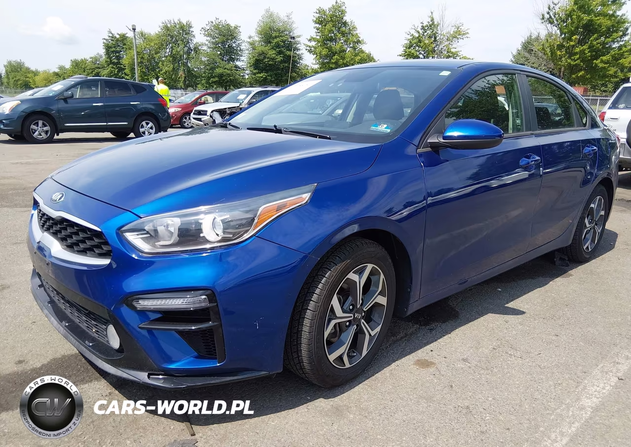 2019 Kia Forte Lxs VIN:3KPF24ADXKE125479 - 2