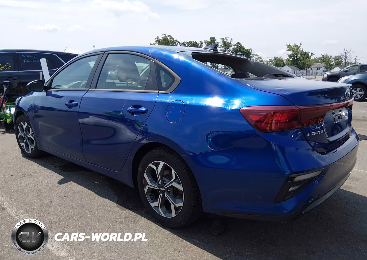 2019 Kia Forte Lxs VIN:3KPF24ADXKE125479 - 3
