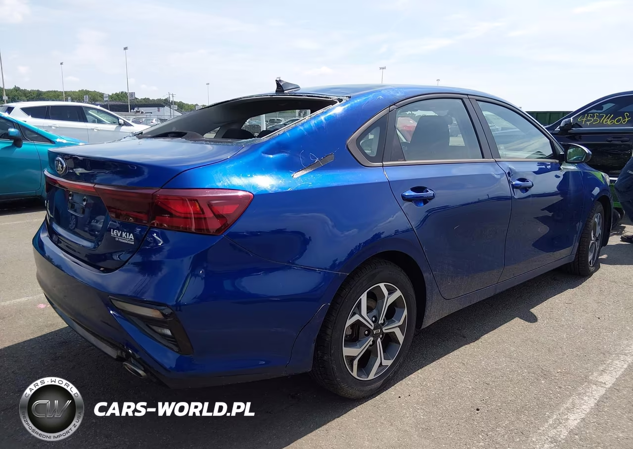 2019 Kia Forte Lxs VIN:3KPF24ADXKE125479 - 4