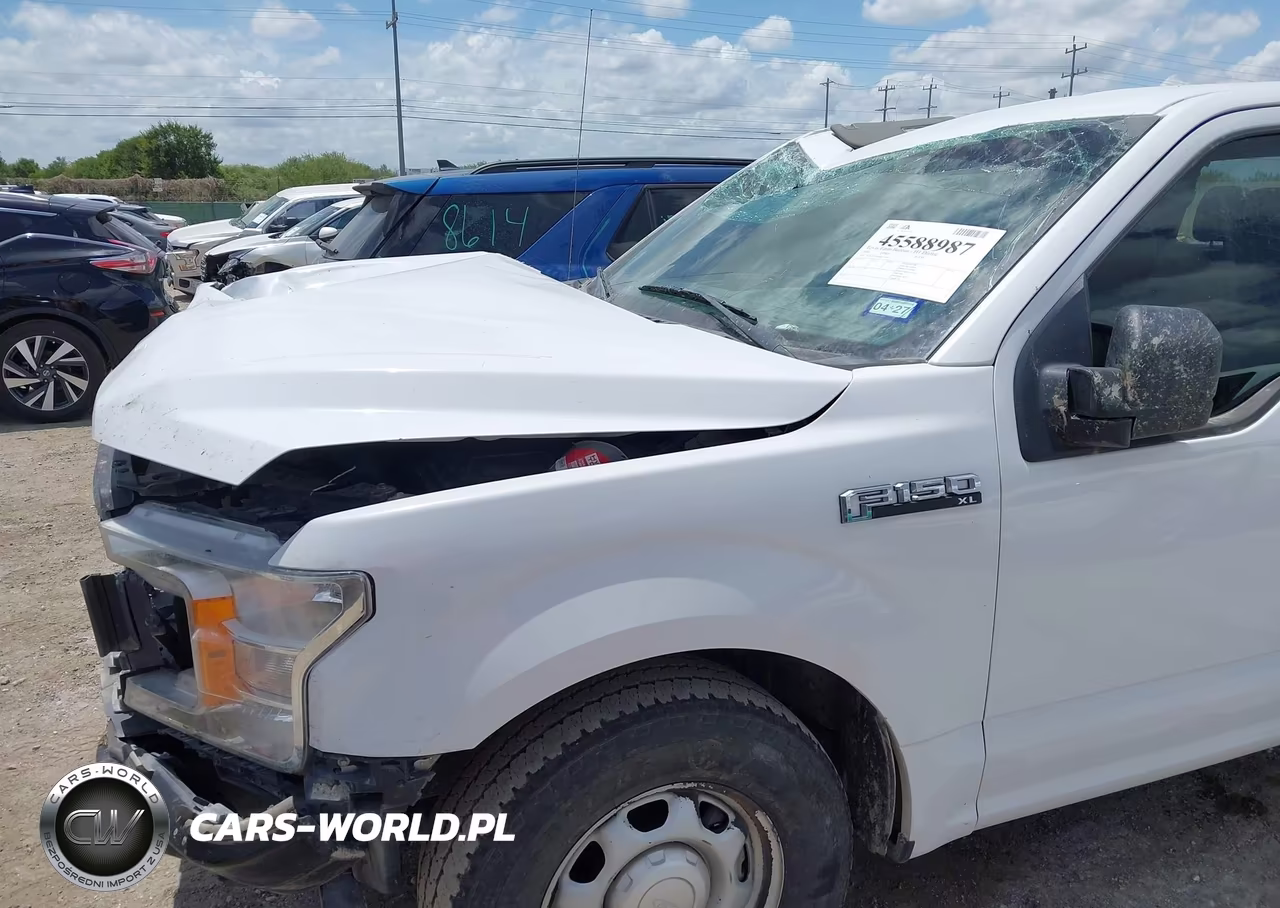 2018 Ford F-150 Xl VIN:1FTEW1CP8JKF37045 - 19