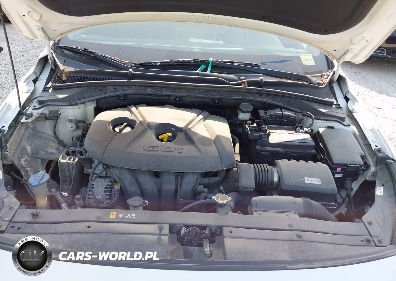 2018 Hyundai Elantra Gt VIN:KMHH35LE2JU016916 - 10