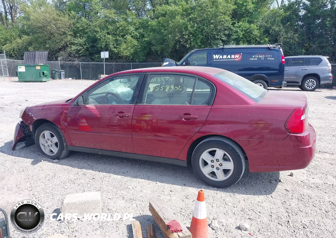2004 Chevrolet Malibu Ls VIN:1G1ZT52804F116261 - 14