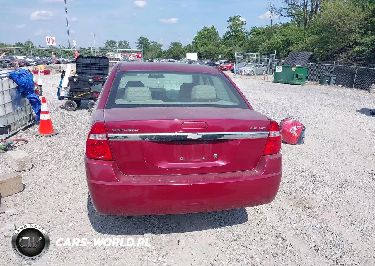 2004 Chevrolet Malibu Ls VIN:1G1ZT52804F116261 - 16