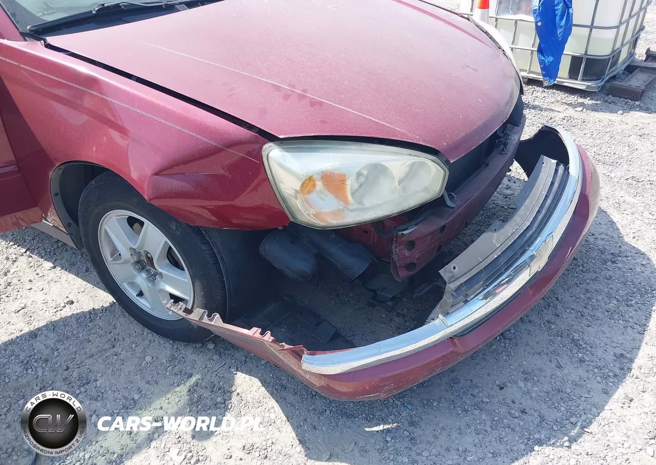 2004 Chevrolet Malibu Ls VIN:1G1ZT52804F116261 - 17