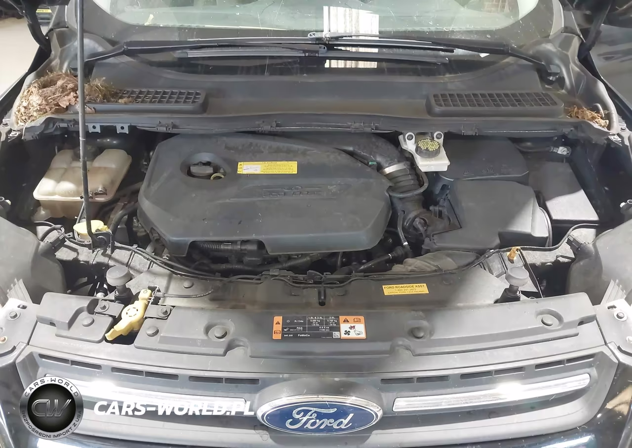 2016 Ford Escape Se VIN:1FMCU0GXXGUA59592 - 10