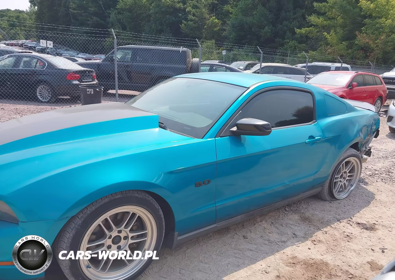 2011 Ford Mustang Gt Premium VIN:1ZVBP8CFXB5128655 - 15