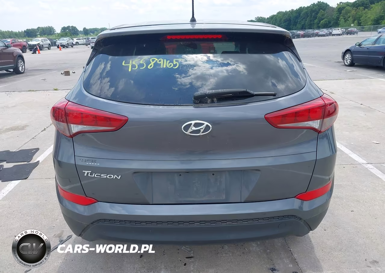 2018 Hyundai Tucson Se VIN:KM8J23A49JU808113 - 16