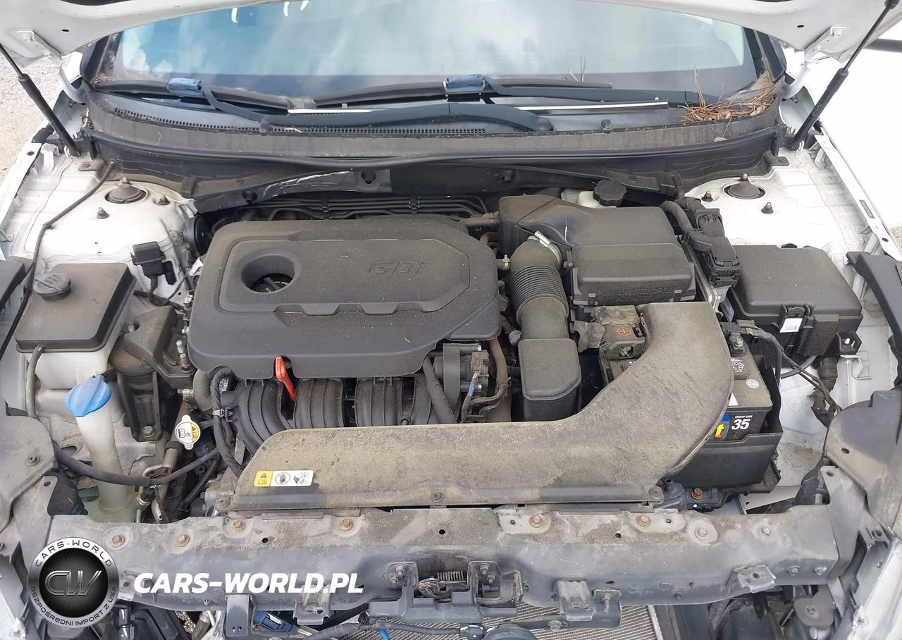 2016 Hyundai Sonata Se VIN:5NPE24AF7GH353696 - 10
