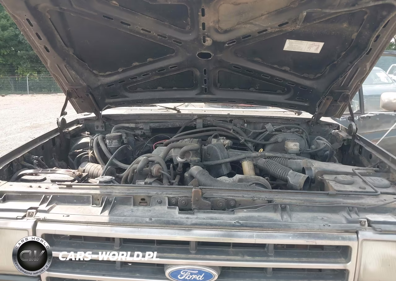 1991 Ford F150 VIN:2FTDF15Y4MCA56493 - 10
