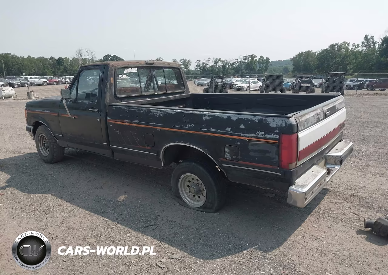 1991 Ford F150 VIN:2FTDF15Y4MCA56493 - 3