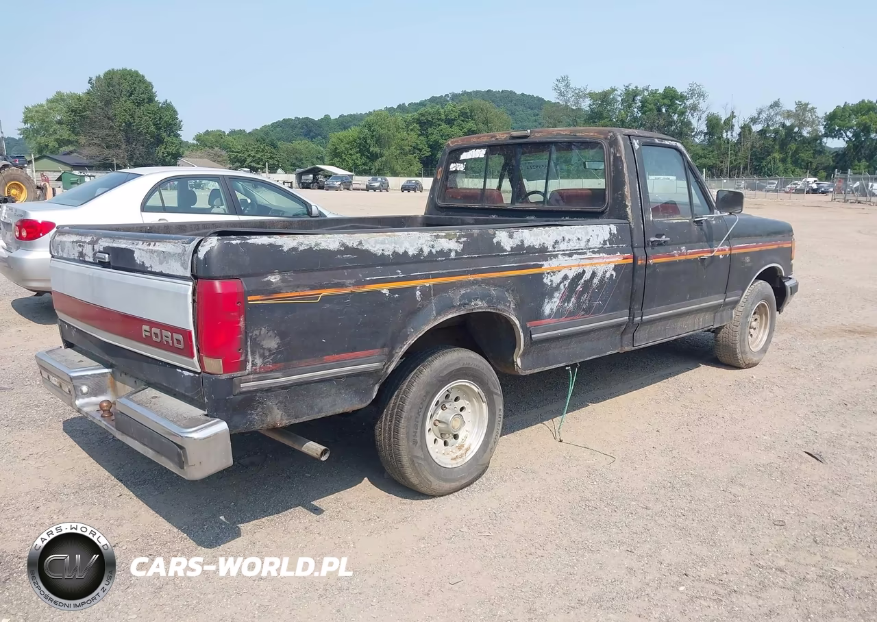 1991 Ford F150 VIN:2FTDF15Y4MCA56493 - 4