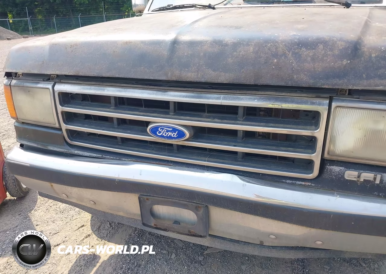 1991 Ford F150 VIN:2FTDF15Y4MCA56493 - 6