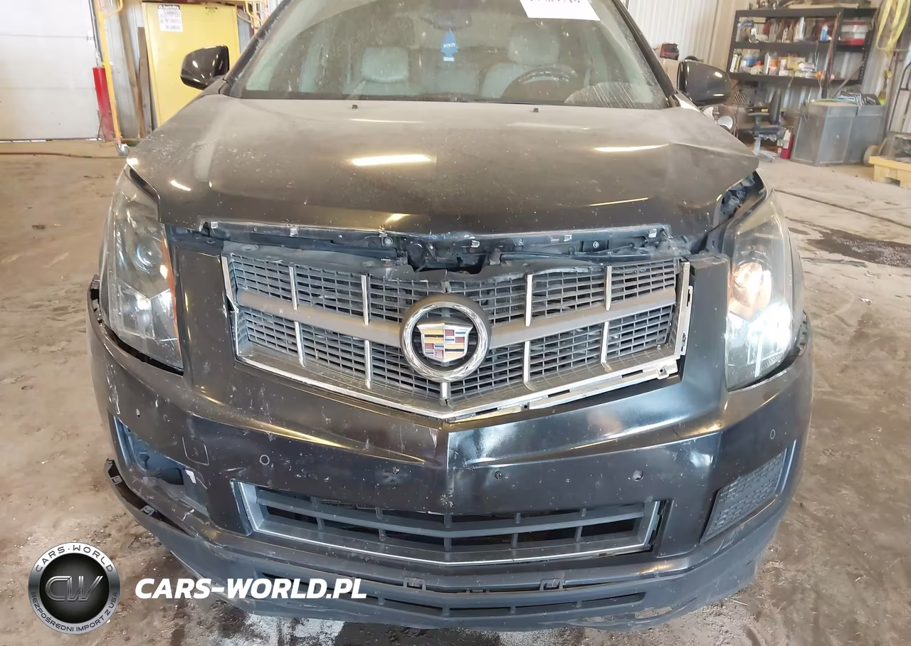 2012 Cadillac Srx Luxury Collection VIN:3GYFNDE39CS500090 - 12