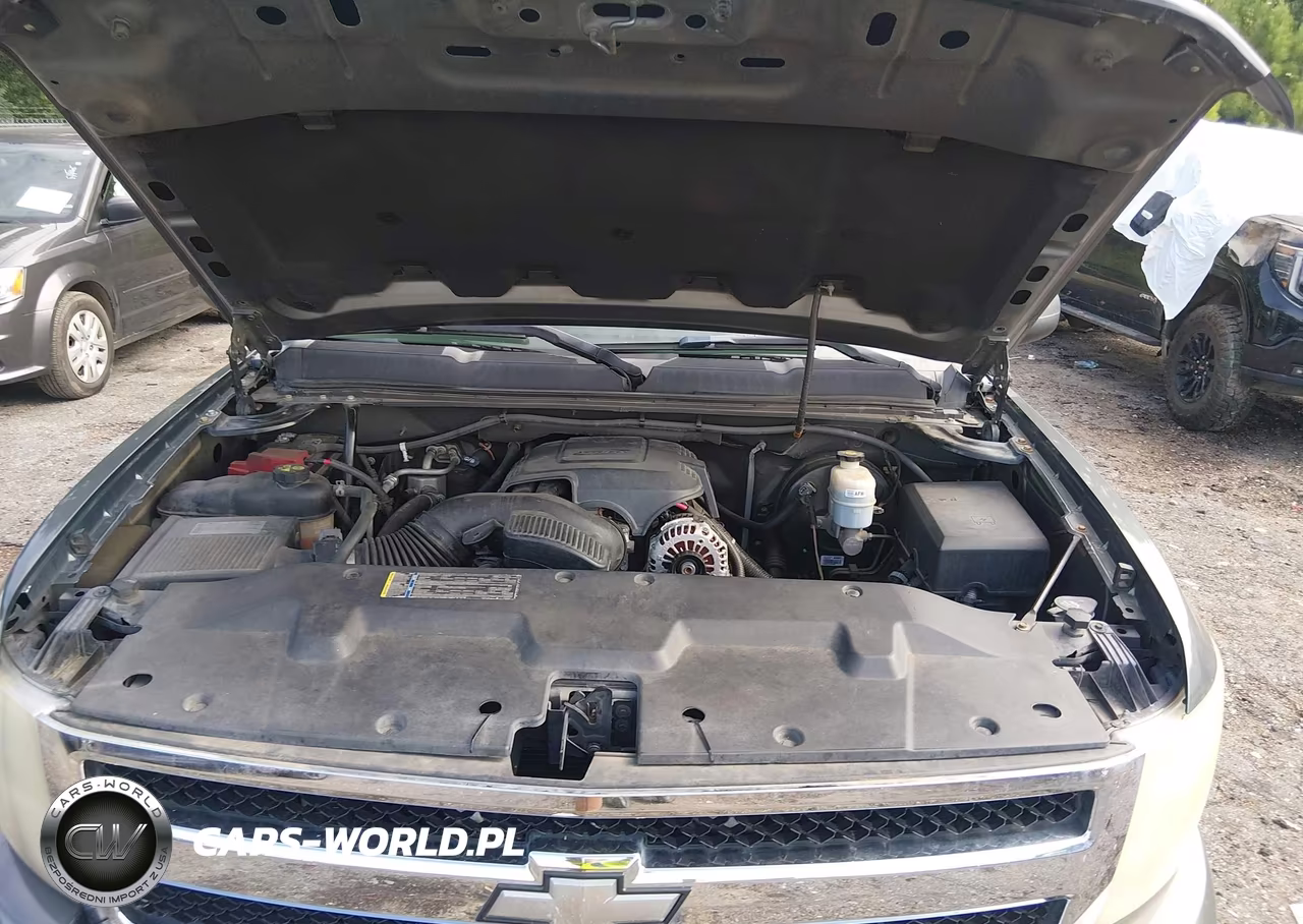 2011 Chevrolet Silverado 1500 Lt VIN:1GCRCSE06BZ195006 - 10