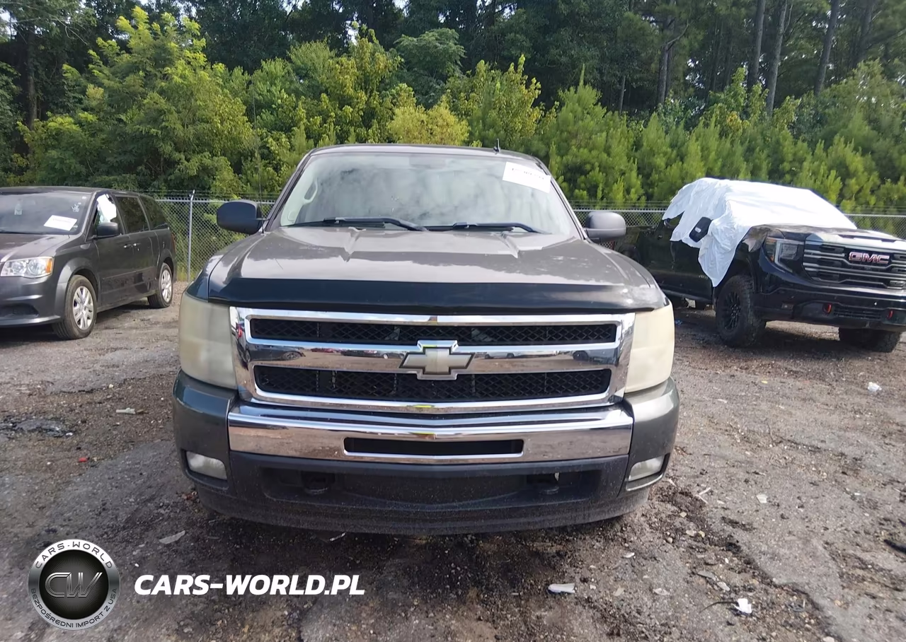 2011 Chevrolet Silverado 1500 Lt VIN:1GCRCSE06BZ195006 - 12