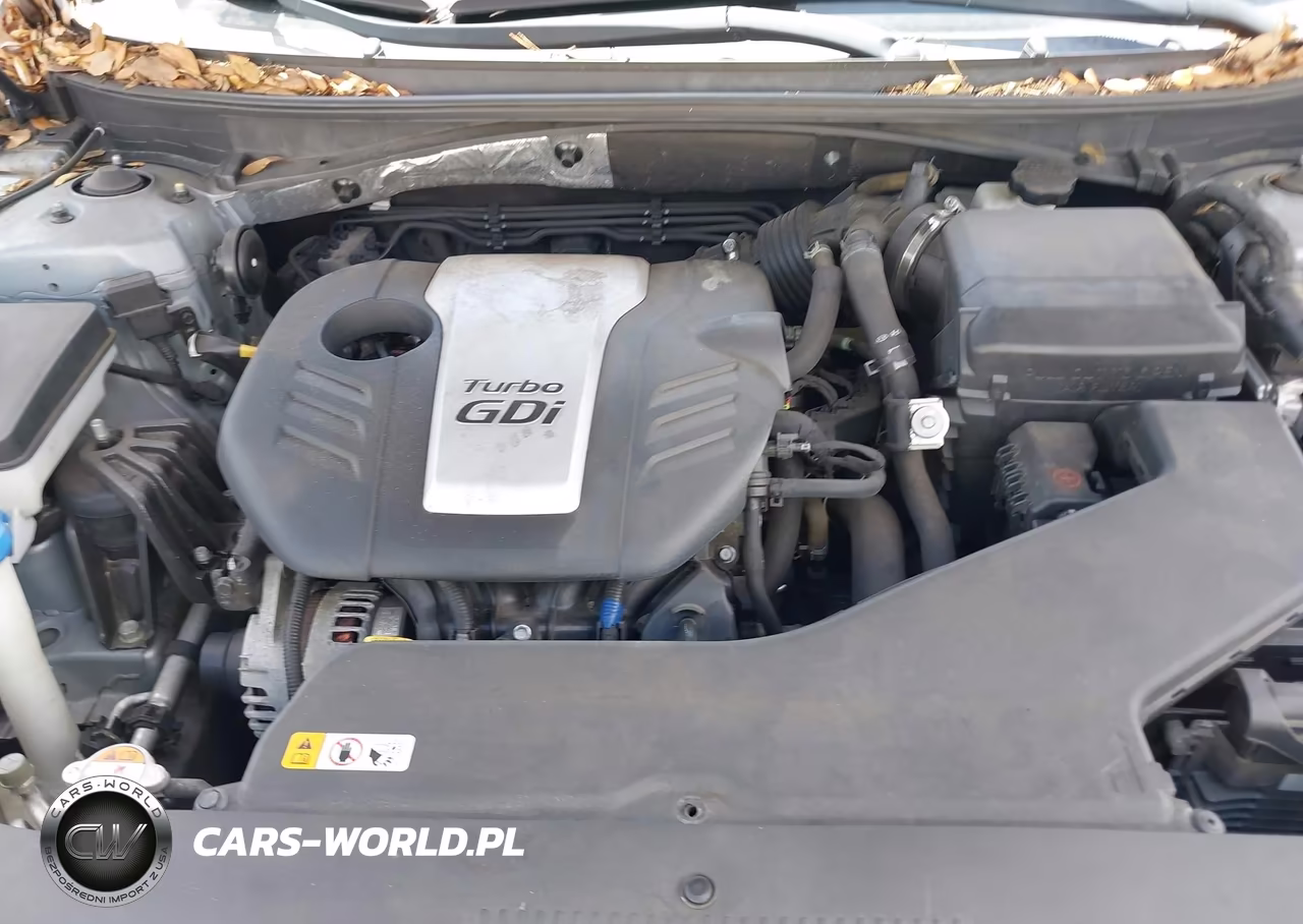 2016 Hyundai Sonata Eco VIN:5NPE24AA7GH426795 - 10