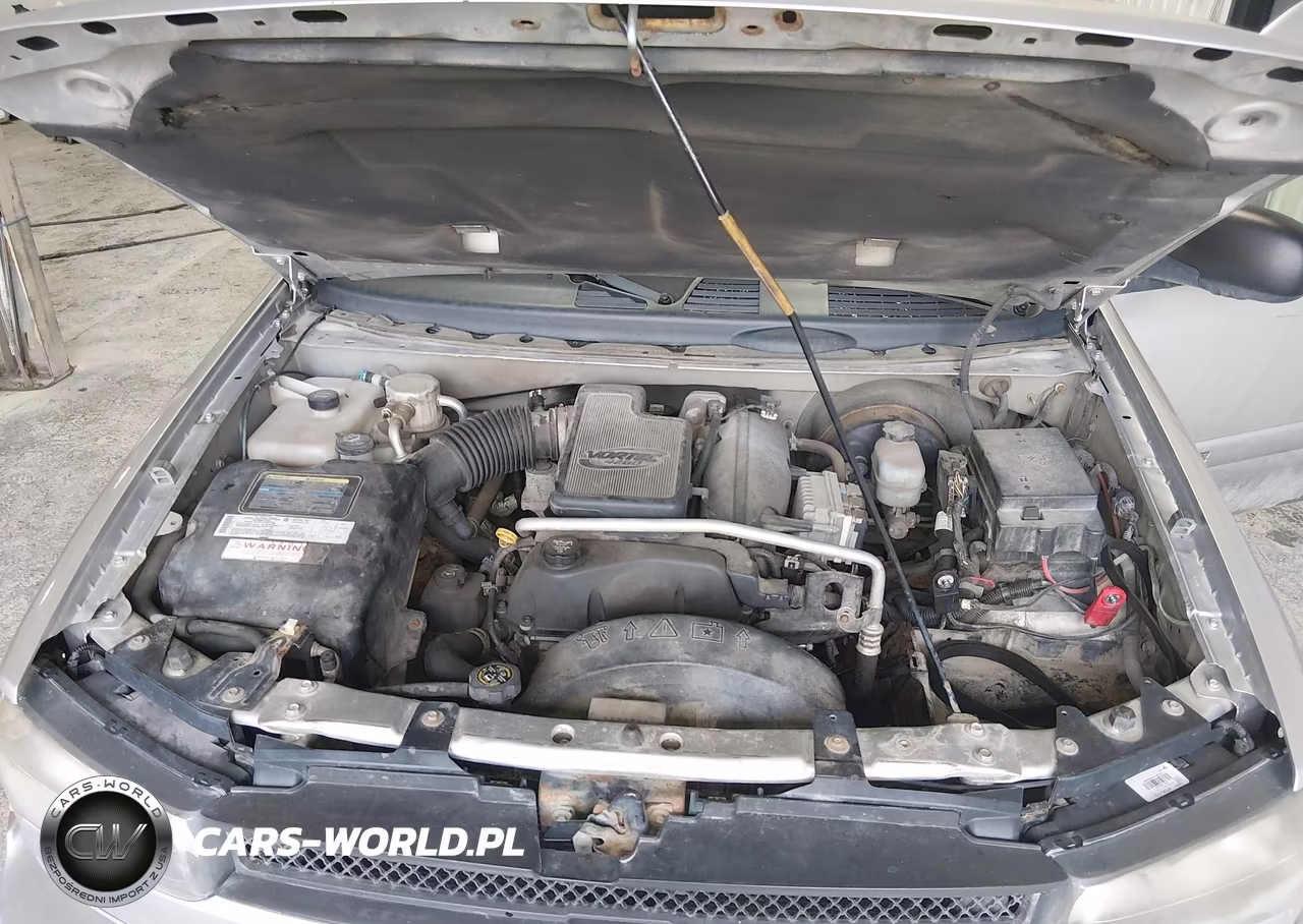 2004 Chevrolet Trailblazer Ls-Lt VIN:1GNDT13S142174298 - 10