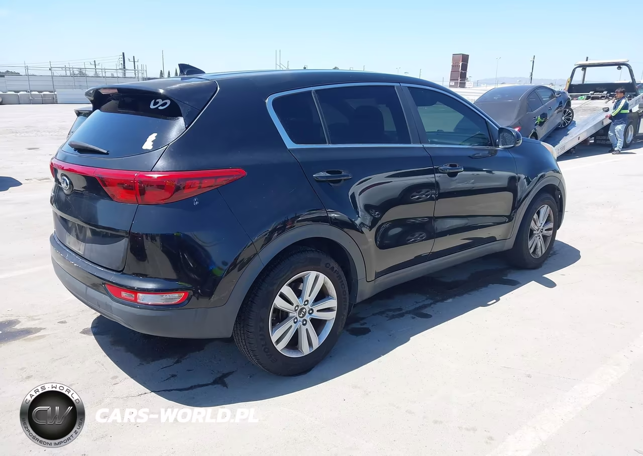 2017 Kia Sportage Lx VIN:KNDPM3AC4H7210150 - 4