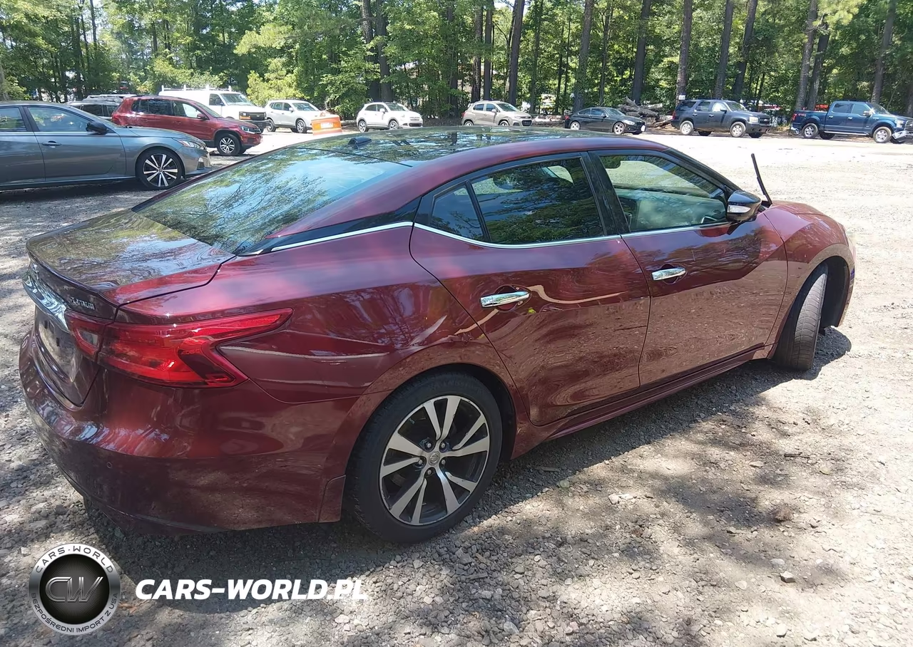 2017 Nissan Maxima 3.5 Platinum VIN:1N4AA6AP7HC388568 - 4